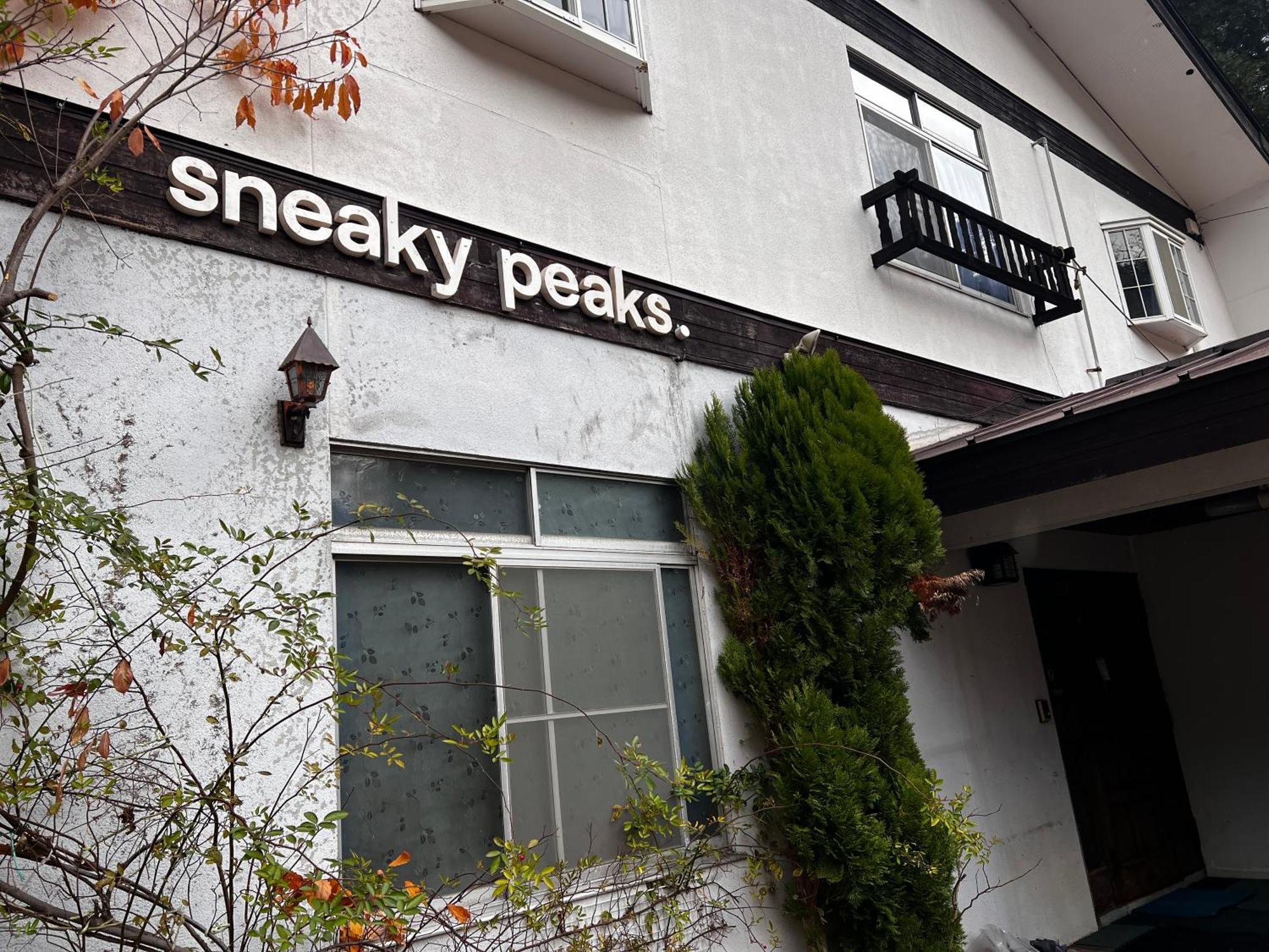 Sneaky Peaks Hotel Hakuba Kültér fotó